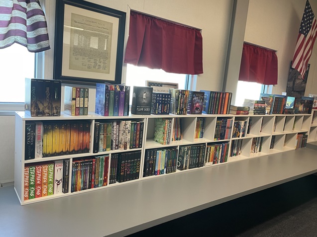 bookshelves with lots of books