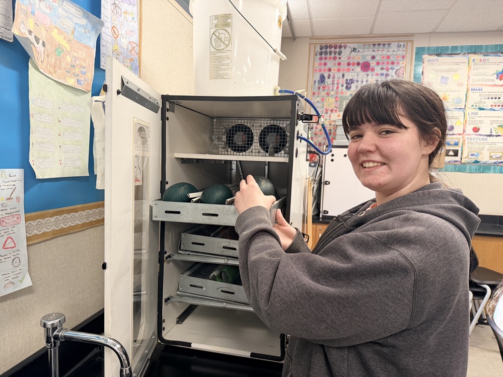 A Selma High School student stands beside an incubator filled with eggs as part of the school’s expanded embryology and agricultural science program.